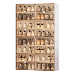 Shoe Organizer Storage Box