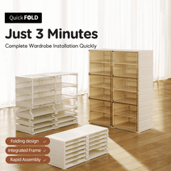 Shoe Organizer Storage Box